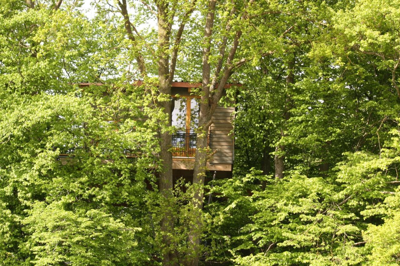 فيلا Baumhaus Auf Dem Kellerberg Fischach المظهر الخارجي الصورة